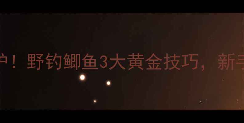 图片 🌟零下10℃也能爆护！野钓鲫鱼3大黄金技巧，新手3小时连竿不断🌟1