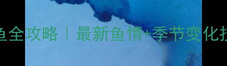 图片 🌧️雨前vs雨后钓鱼全攻略｜最新鱼情+季节变化技巧（附实战数据）