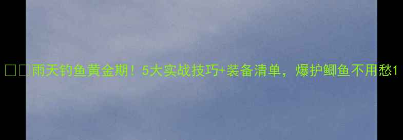 图片 🌧️雨天钓鱼黄金期！5大实战技巧+装备清单，爆护鲫鱼不用愁1