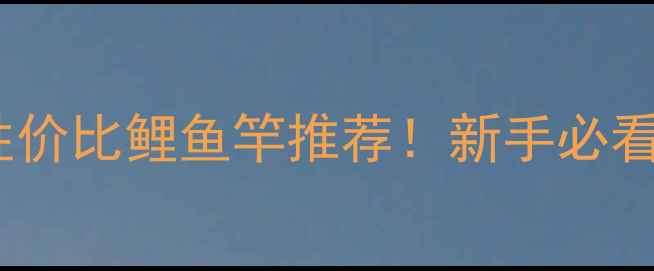 图片 🎣300元内高性价比鲤鱼竿推荐！新手必看垂钓装备指南