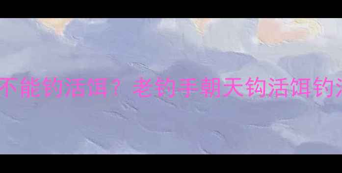 图片 🎣朝天钩能不能钓活饵？老钓手朝天钩活饵钓法全攻略🌟2