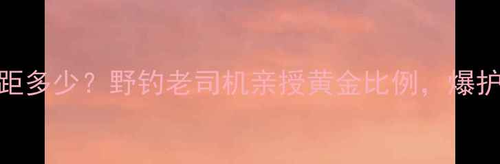 图片 💡鲤鱼双钩间距多少？野钓老司机亲授黄金比例，爆护秘籍大公开！