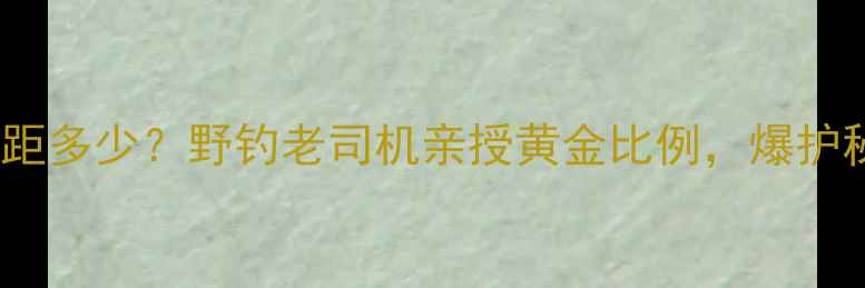 图片 💡鲤鱼双钩间距多少？野钓老司机亲授黄金比例，爆护秘籍大公开！1