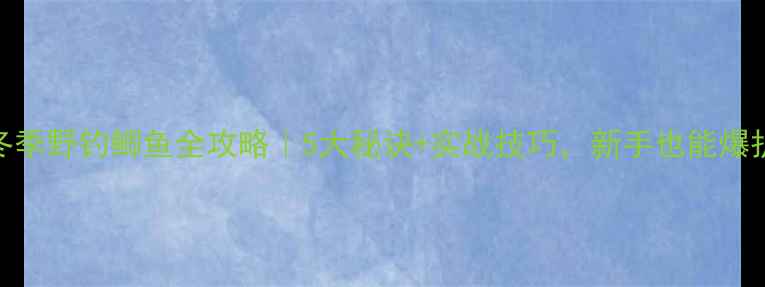 图片 🔥冬季野钓鲫鱼全攻略｜5大秘诀+实战技巧，新手也能爆护！