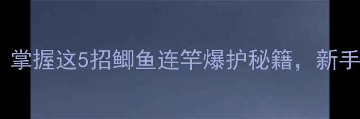 图片 🔥初冬雨天必看！掌握这5招鲫鱼连竿爆护秘籍，新手也能日进十斤！1