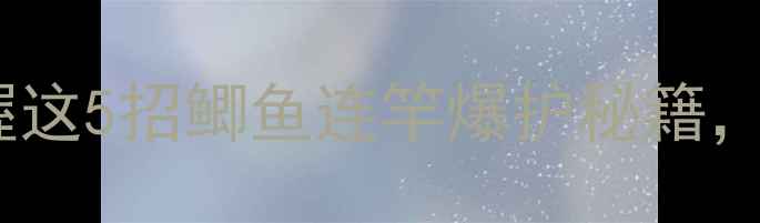 图片 🔥初冬雨天必看！掌握这5招鲫鱼连竿爆护秘籍，新手也能日进十斤！2