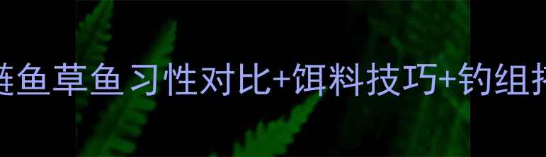 图片 🔥垂钓新手必看！鲤鱼鲢鱼草鱼习性对比+饵料技巧+钓组搭配🎣附赠新手入门清单