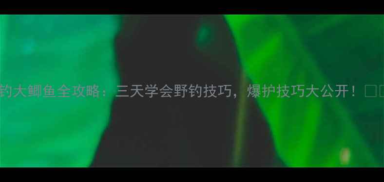 图片 🔥野钓大鲫鱼全攻略：三天学会野钓技巧，爆护技巧大公开！🎣🌾🔥2