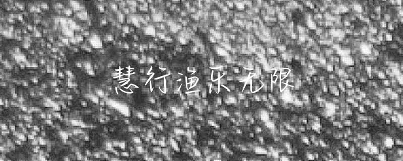 黑鱼汤